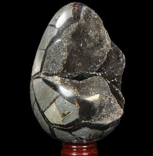 Septarian Dragon Egg Geode - Black Crystals #96727